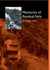 Mechanics of Residual Soils