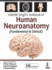 Inderbir Singh's Textbook of Human Neuroanatomy: Fundamental and Clinical