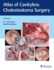 Atlas of Cavityless Cholesteatoma Surgery Volume 1