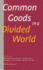 Common Goods in a Divided World