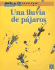 Una Lluvia De Pjaros (Spanish Edition)
