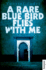 A Rare Blue Bird Flies With Me: a Novel (Hoopoe Fiction)