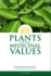 101 Plants and Their Medicinal Values