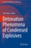 Detonation Phenomena of Condensed Explosives (Shock Wave and High Pressure Phenomena)