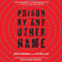 Prison By Any Other Name: the Harmful Consequences of Popular Reforms