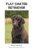 Flat Coated Retriever