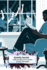 Quietly Social: Understanding Introverts Who Actually Like People
