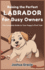 Raising the Perfect Labrador for Busy Owners: the Complete Guide to Your Puppy? S First Year: Step-By-Step Roadmap to Mastering Training, Health, ...Retriever Pup (Canine Care & Training Guide)