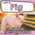 I am a Pig: A Children's Book with Fun and Educational Animal Facts with Real Photos!