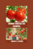 Growing Tomatoes for Beginners