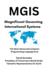 Mgis: Magnificent Governing International Systems