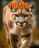 Puma: Des Informations et des Images Amusantes et Intressantes concernant les Puma