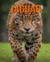 Jaguar: Datos e imgenes divertidas y fascinantes sobre los Jaguar