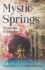 Mystic Springs: A Collection of Anomalies