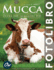 Mucca: Fotolibro