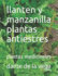 llanten y manzanilla plantas antiestres: plantas medicinales