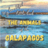 My Beautiful Little Book-the Animals of the Galapagos: Discover the Animals of This Beautiful Islands With Incredible Pictures (My Beautiful Little Book Collection)