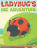 Ladybug's Big Adventure: Activity Book For Preschoolers