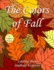 The Colors of Fall Coloring Book