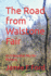 The Road from Walstone Fair: An Edwardian Murder Mystery