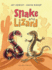 Snake and Lizard Format: Paperback