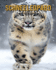 Schneeleopard: Buch mit erstaunlichen Fotos und lustigen Fakten