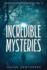 Incredible Mysteries Unsolved Disappearances Vol. 4: True Crime Stories of Missing Persons Who Vanished Without a Trace