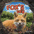Inside a Fox's Den (Underground Animal Life)