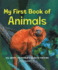 My First Book of Animals