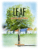 Leaf: a true life story for children