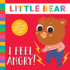I Feel Angry: With a Step-By-Step Guide in the Back! (Little Bear)