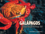 Galpagos: Where the Wild Things Are