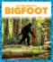 Bigfoot