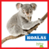 Koalas