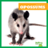 Opossums