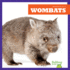 Wombats