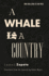 A Whale Is a Country