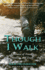 Though I Walk: A Memoir of Trauma, Healing, and Truth