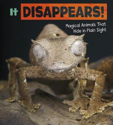 It Disappears!: Magical Animals That Hide in Plain Sight - Potts, Nikki