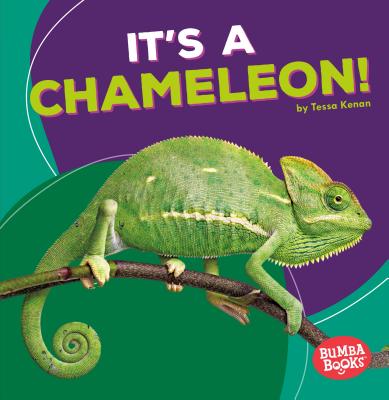 Its a Chameleon - Kenan, Tessa