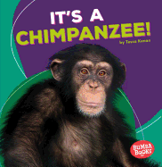 It's a Chimpanzee!