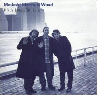 It's a Jungle in Here - Medeski, Martin & Wood