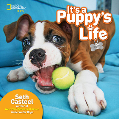 It's a Puppy's Life - Casteel, Seth (Photographer)