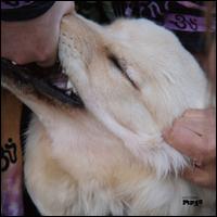 It's Hard for Me to Say I'm Sorry - Christian Fennesz & Jim O'Rourke