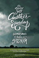 It's Never Just Another Sunday: Sometimes It Takes a Storm