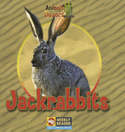 Jackrabbits