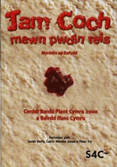 Jam Coch Mewn Pwdin Reis - Cerddi Bardd Plant Cymru 2000 a Beirdd Ifanc Cymru