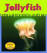 Jellyfish - Schaefer, Lola M