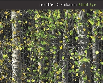 Jennifer Steinkamp: Blind Eye - Clark Art Institute, and Saltzman, Lisa (Contributions by), and Ewing, James (Photographer)