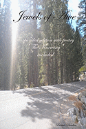 Jewels Of Awe: Expanded Edition With Poetry "The Knowing" Included